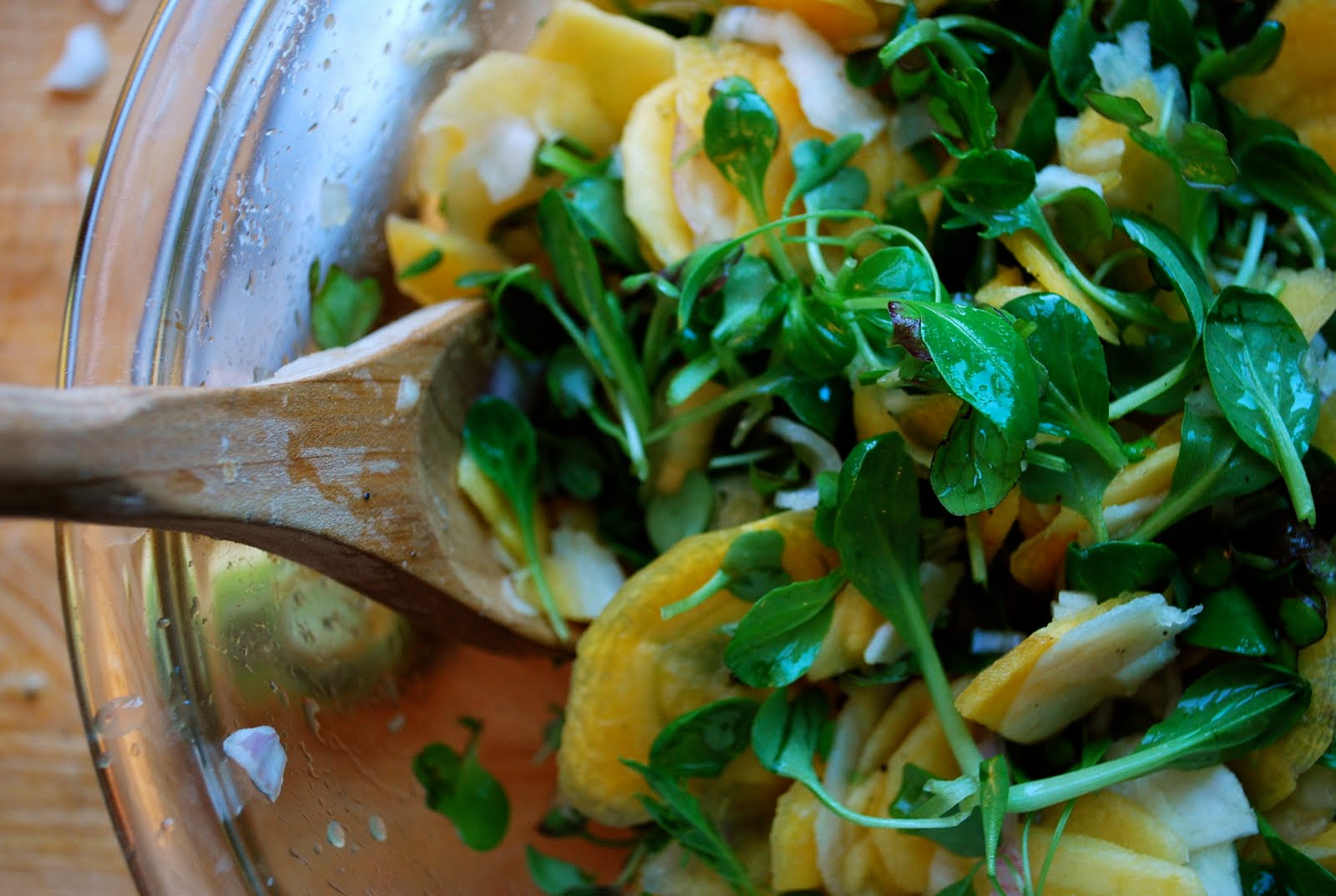 [carrot+salad+bowl.jpg]