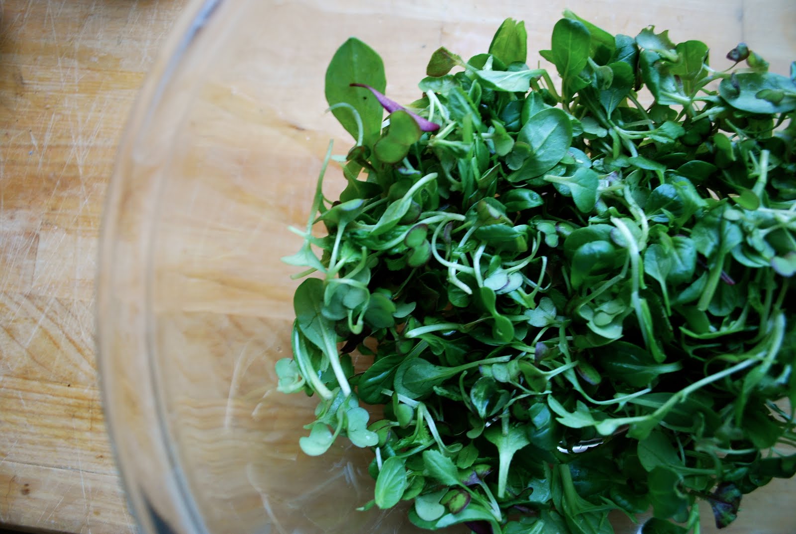 [microgreens.jpg]