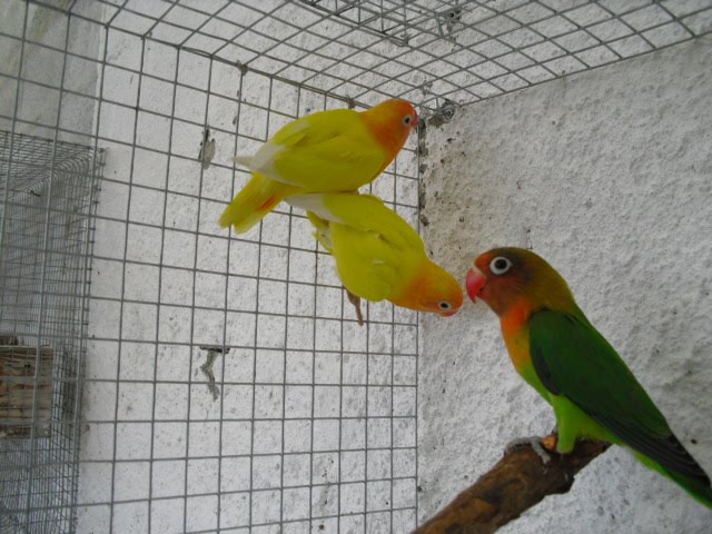 [CIMG0038.JPG]