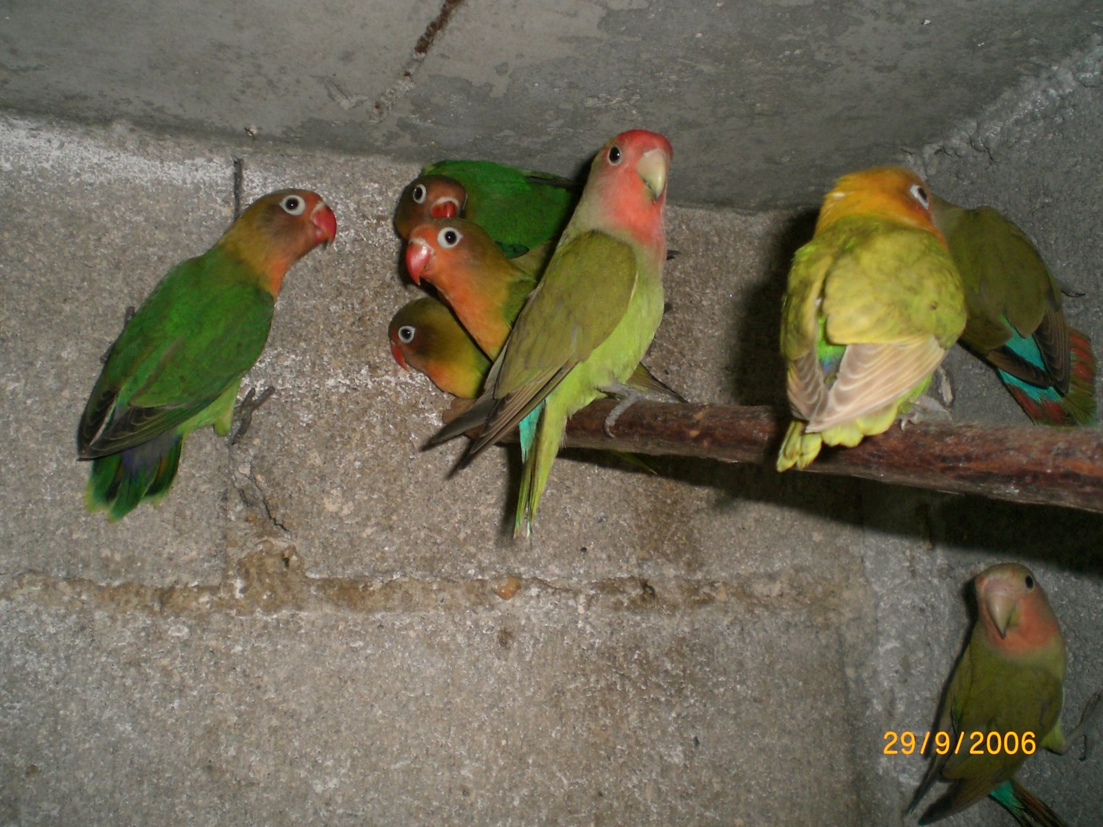 [Imagem+019.jpg]