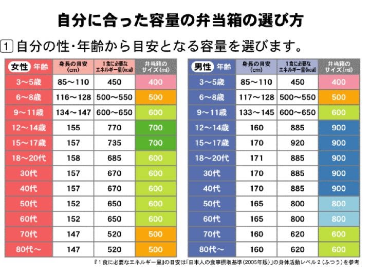 On a Bento frenzy How to select the right size Bento box