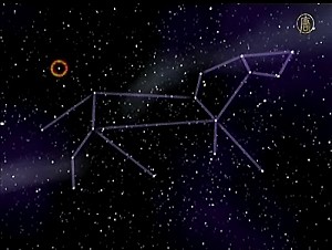Leo Planet