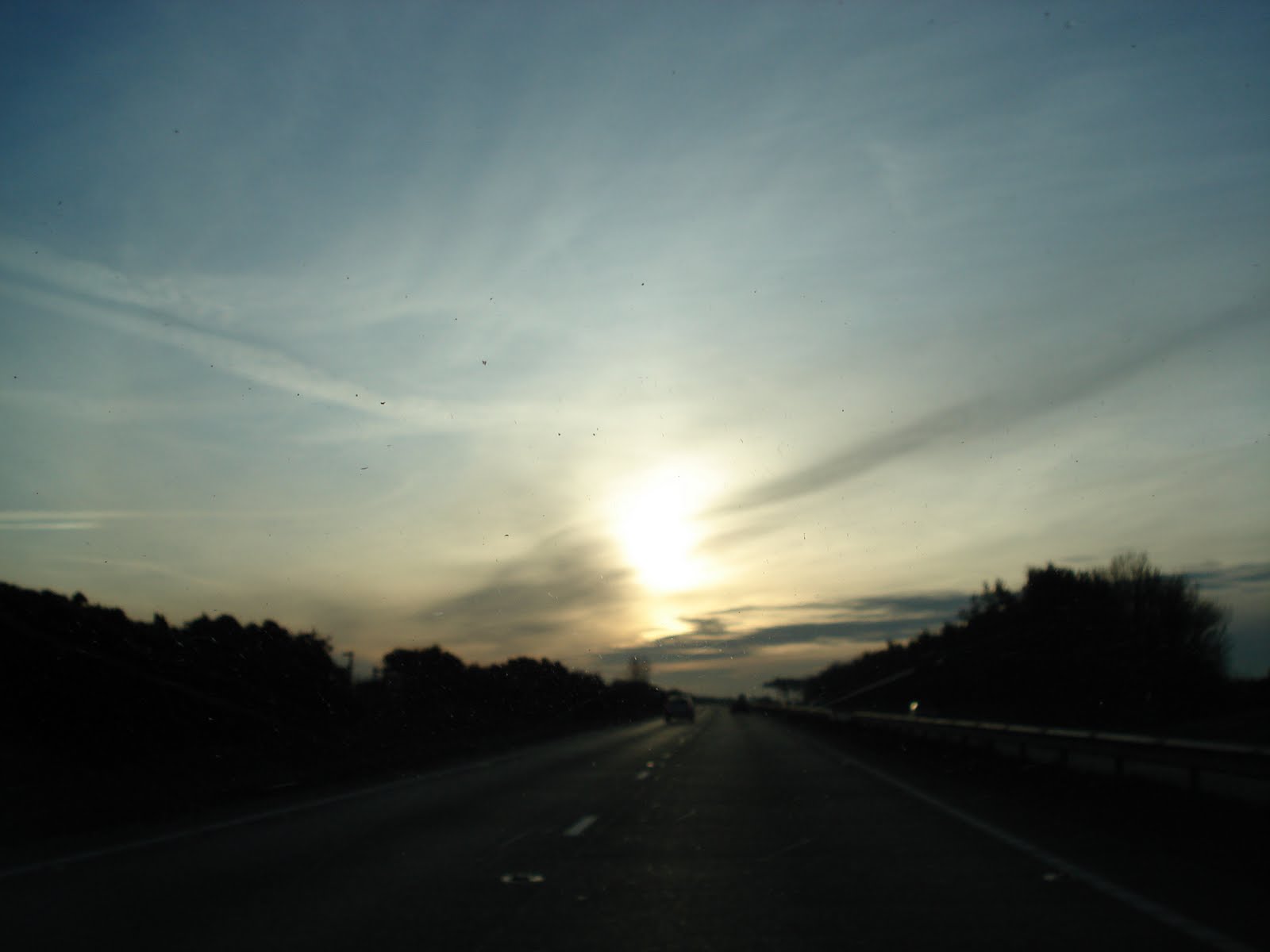 [DSC03231.JPG]