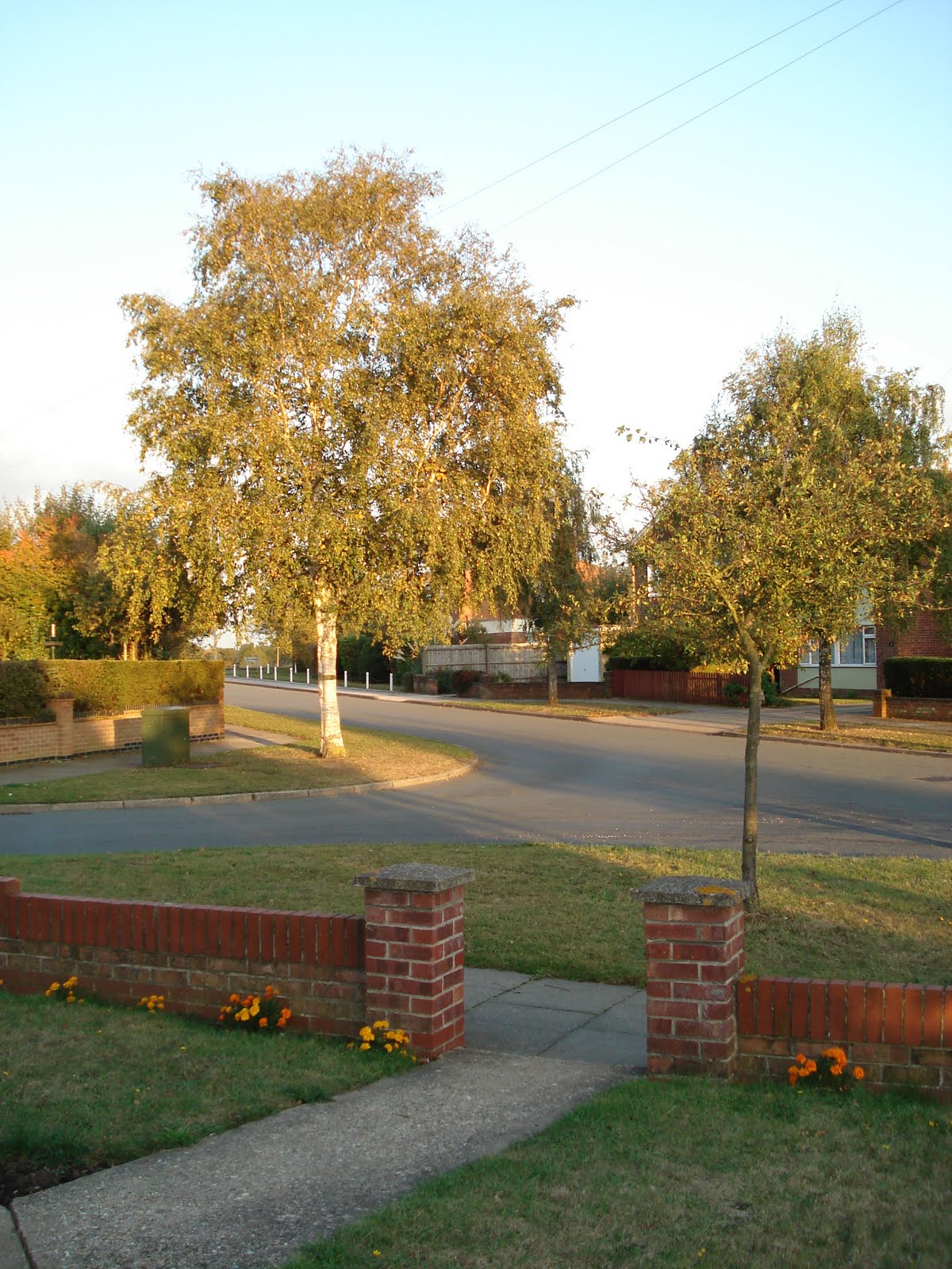 [DSC02104.JPG]