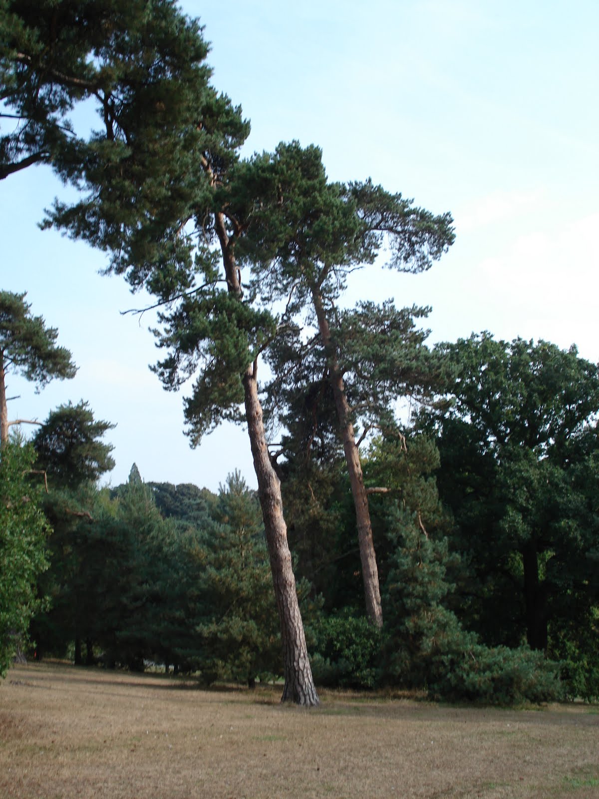 [DSC01948.JPG]