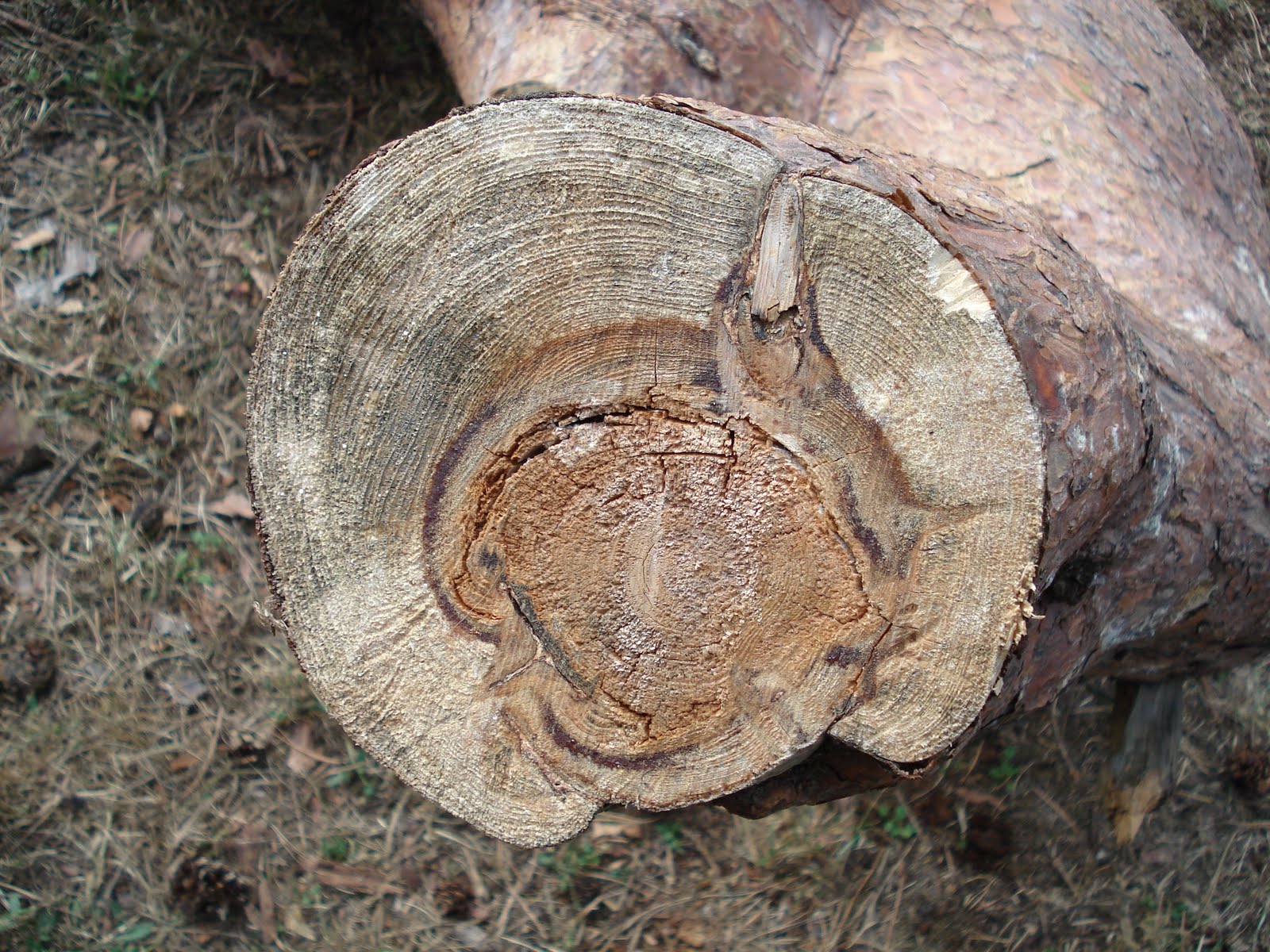 [DSC01945.JPG]