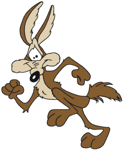 wile e coyote and roadrunner wile e coyote and roadrunner