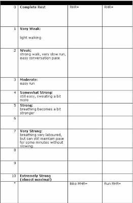 Borg Scale Chart