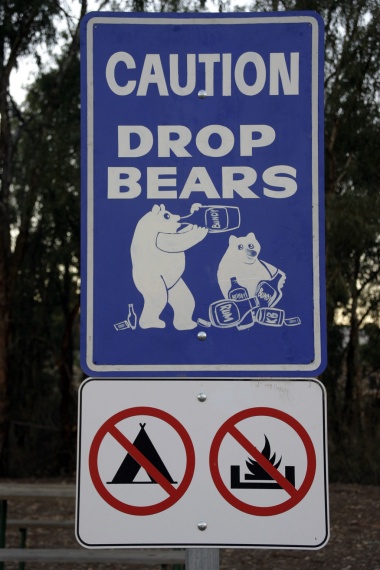 Drop Bears - the terror of the Australian bush.