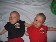 Twins Fans