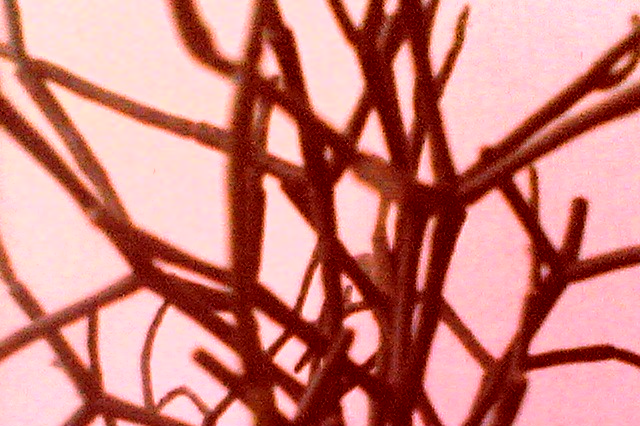 [17122007_edit.jpg]