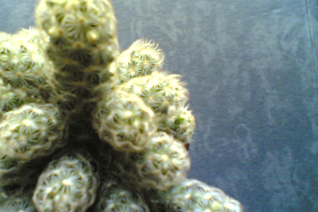 [26022008(013)_edit2.jpg]