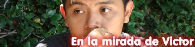 En la Mirada de Victor