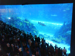 Dubai+mall+aquarium+wiki