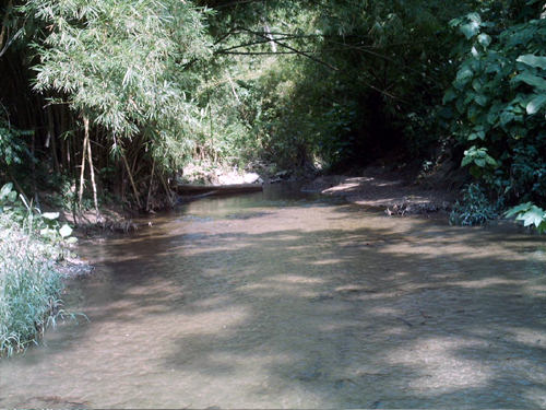 RIO DE BORBURATA