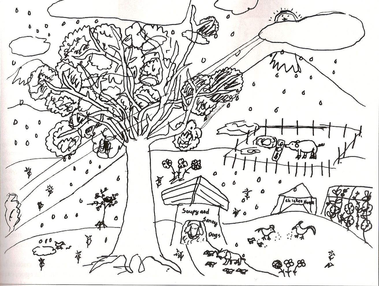 La niña de 10 años quie hizo este dibujo utilizó múltiples líneas La niña de 10 años quie hizo este dibujo utilizó múltiples líneas