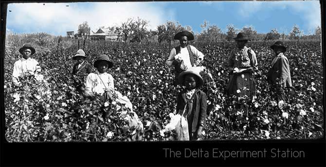 The Delta Experiment Station