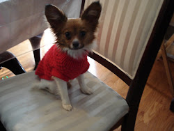 Little Miss Chloe