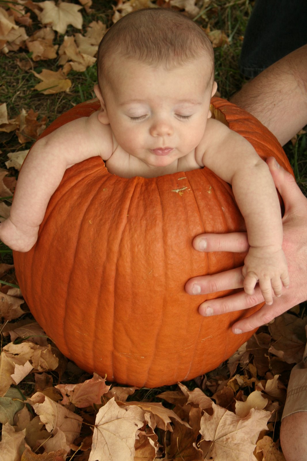 [pumpkin11.jpg]