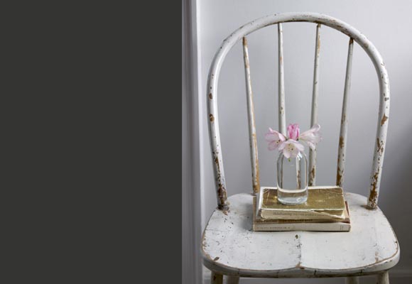 [Pink+Flower+on+a+Chaire+pul+Massey.jpg]