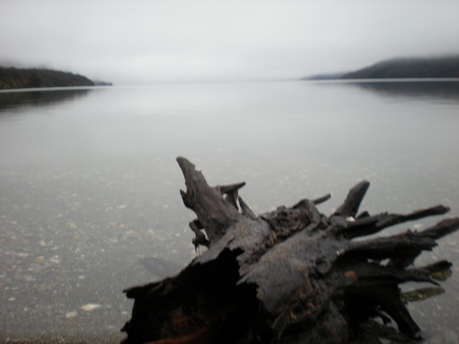 [DSCN0550.JPG]