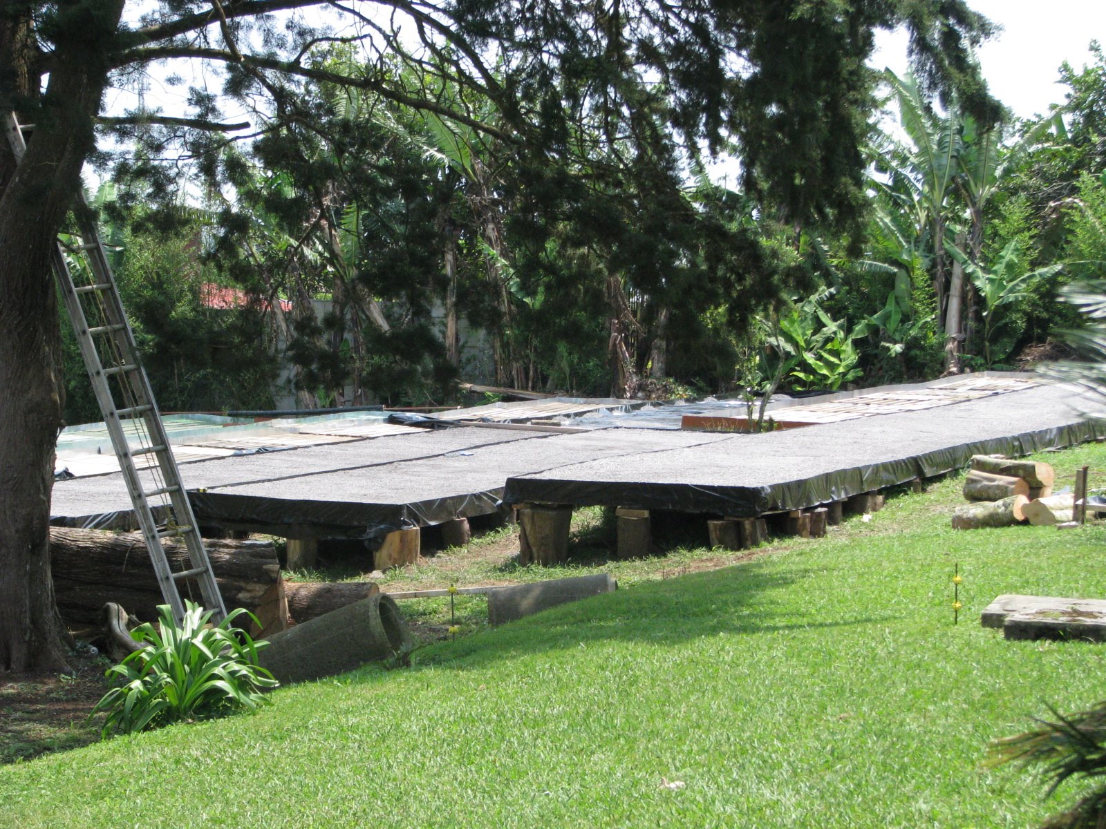 Hidroponia en el jardín: abril 2010