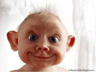 Funny picture free downlod
