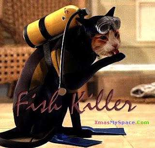 Funny picture free downlod