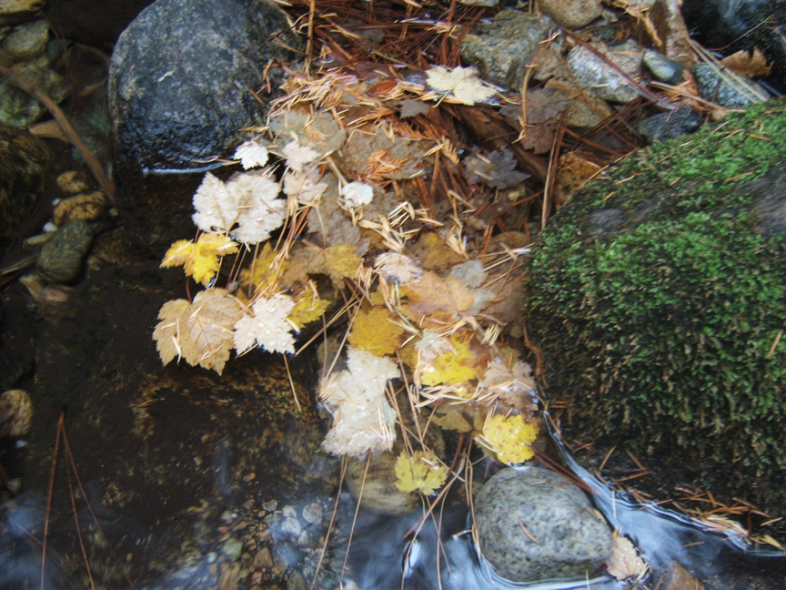 [DSCF3232.1.jpg]
