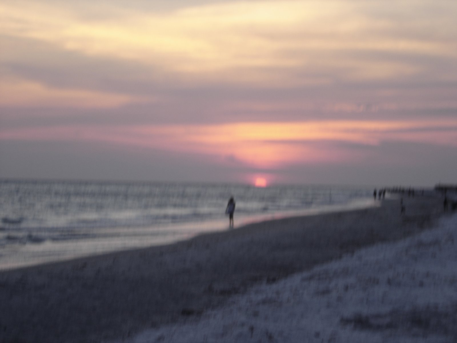 [DSC04085.JPG]