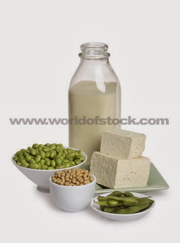 [tofu+and+soymilk.jpg]