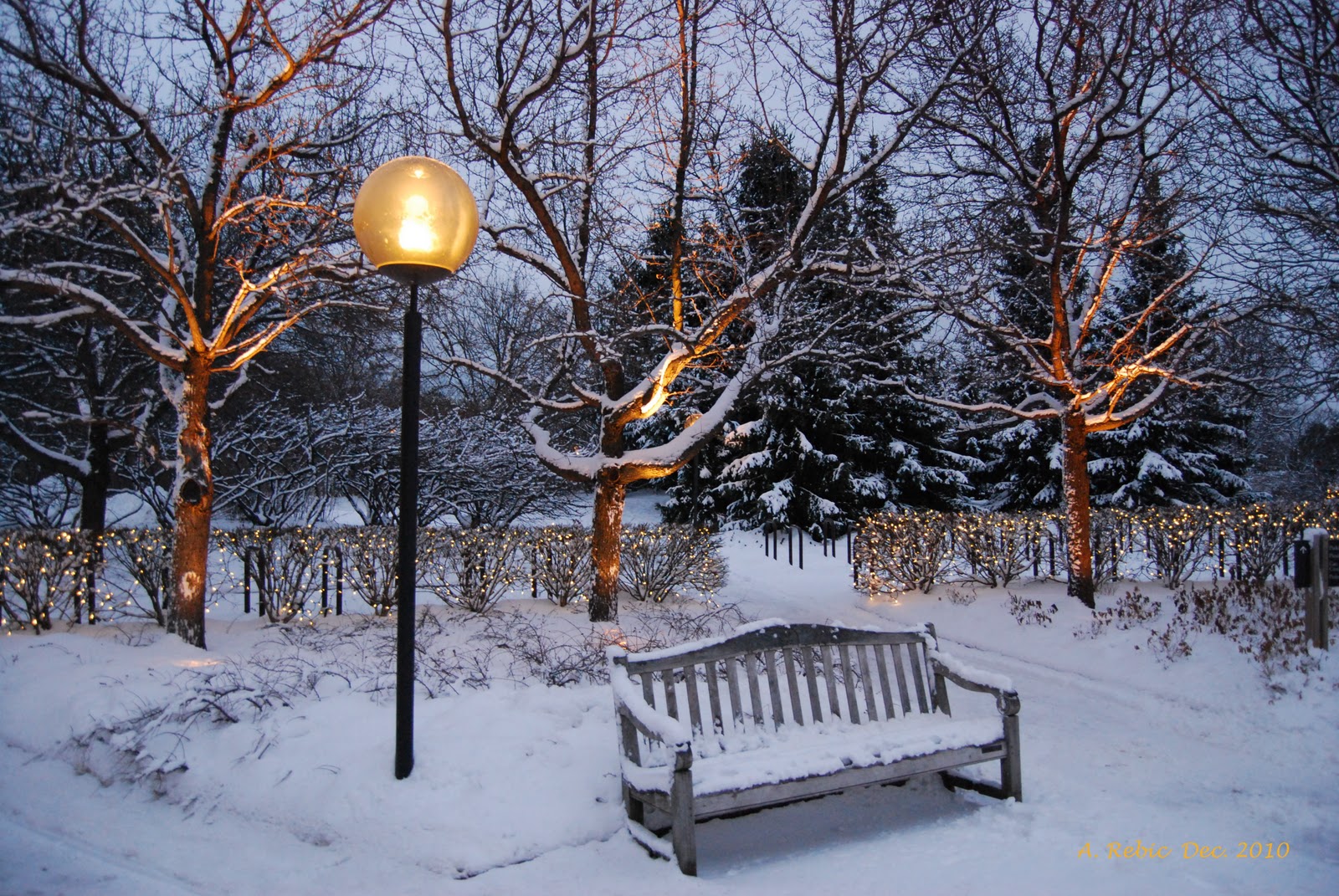 Image detail for The Bench" / The Chicago Botanic Garden on Christmas