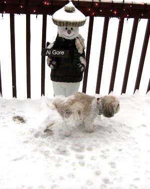 Sad Global Warming