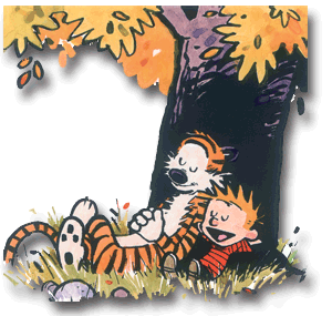 quotes love calvin hobbes quotes love calvin hobbes