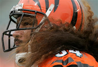 Bengals defensive lineman Domata Peko