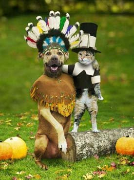 Funny Turkey Pictures Funny Turkey Pictures