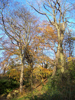 Jesmond Dene Jesmond Dene