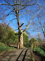 Jesmond Dene Jesmond Dene