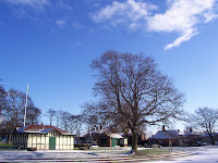 Paddy Freemans Park Paddy Freemans Park