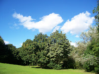 Jesmond Dene Jesmond Dene