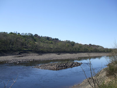 River Tyne: Newburn to Wylam River Tyne: Newburn to Wylam