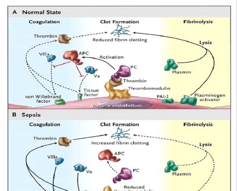 Phimaimedicine 253. Activated protein C for sepsis