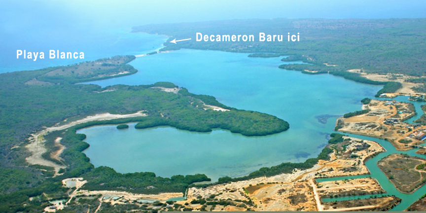 ISLA BARU COLOMBIA isla baru colombia: