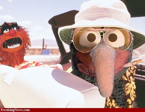 [Image: gonzo2.jpg]