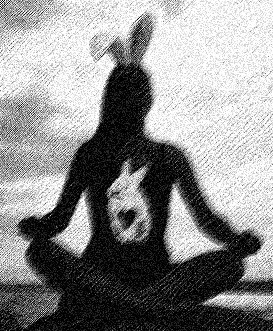 bunny religion rabbit meditation
