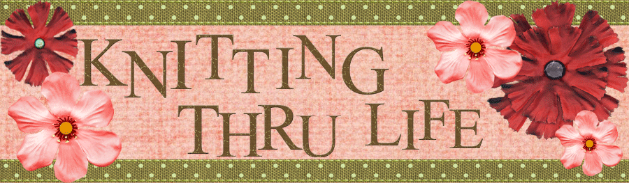 Knitting Thru Life
