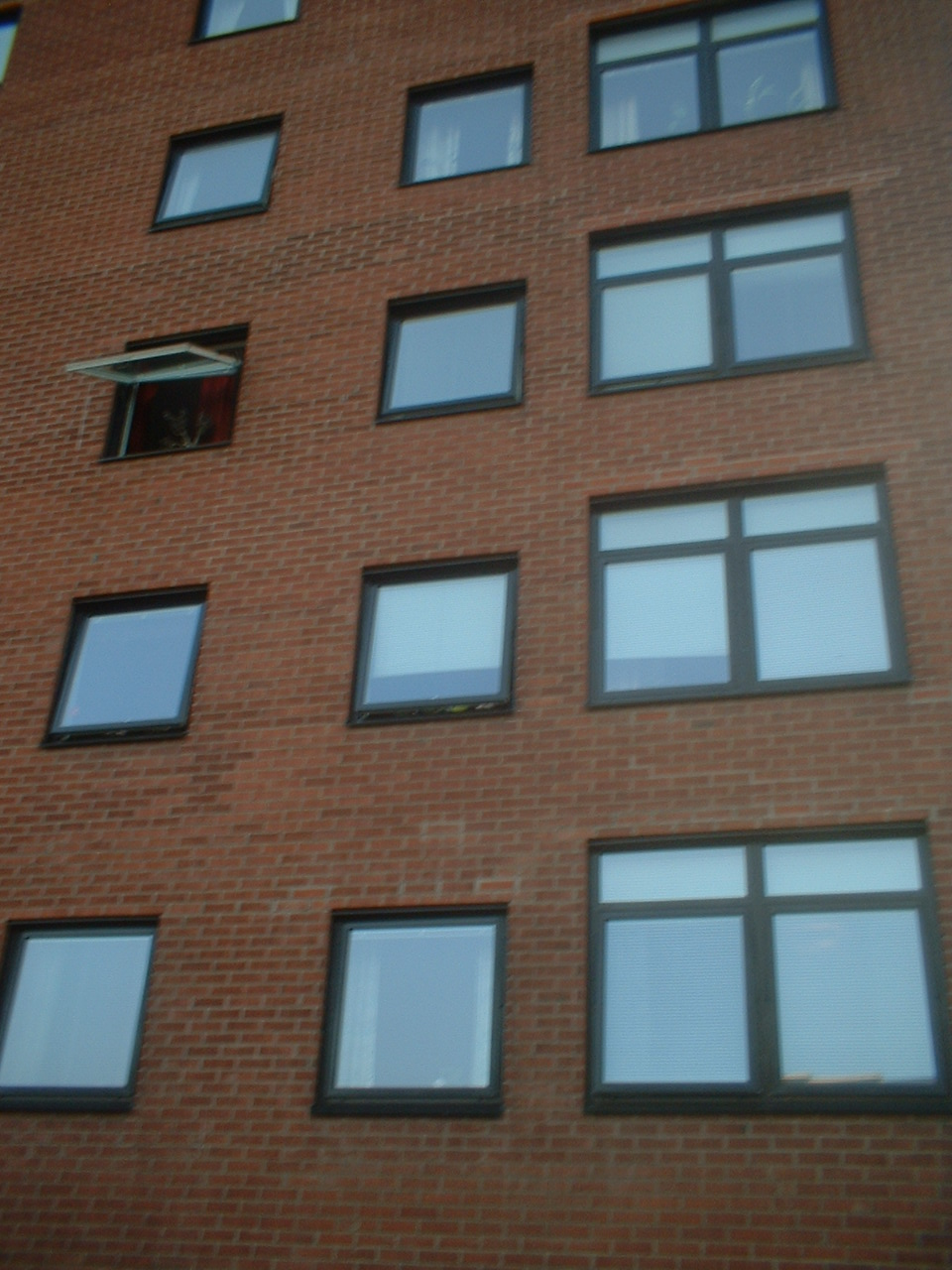 [DSCF0022.JPG]