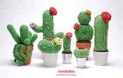 [cactos.jpg]
