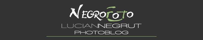 NegroFoto