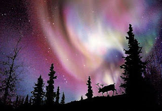 Northern+Lights.jpg